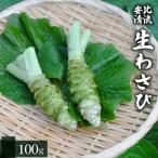 生わさび 100g