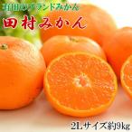 田村みかん大玉約9kg 2Lサイズ
