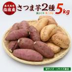 さつまいも 2種