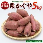 さつまいも 栗かぐや 約5kg
