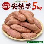 らくと農園の紅はるか約5kg IB084-010