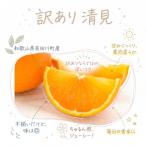 清見 5kg