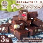 チョコファッジ 12粒入り