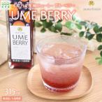 梅ベリーピューレ UMEBERRY 完熟梅