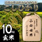 新米 こしひかり 玄米 10kg