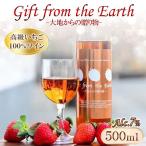 いちご100%のワイン 500ml