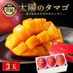 太陽のタマゴ 3玉