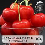 さくらんぼ やまがた紅王 360g