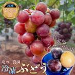 冷凍ぶどう 200g