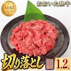 おおいた和牛 牛肉切り落とし 黒毛和牛 おおいた和牛切り落…