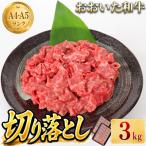 おおいた和牛切り落とし3kg 300g×10p