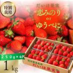 いちご 1kg