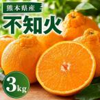 不知火 約3kg