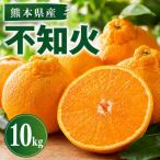 不知火 約10kg