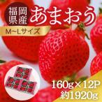 うるう農園のあまおう MLサイズ 約160g×12パック