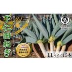 本場 ながい農園の下仁田ねぎ LLサイズ15本