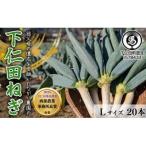 本場 ながい農園の下仁田ねぎ Lサイズ20本