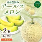 アールスメロン マスクメロン 2玉