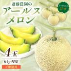 アールスメロン マスクメロン 4玉