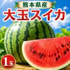 大玉すいか 1玉