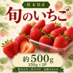 いちご 500g