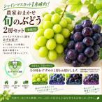 農家お任せ旬のぶどう 2房