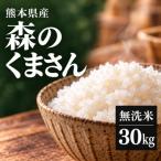 森のくまさん 無洗米 30kg