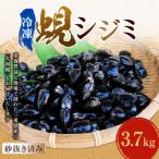 丸元水産 産蜆 冷凍 3.7kg