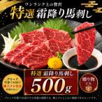熊本 特選霜降り 馬刺しブロック 500g