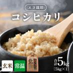 エコ栽培コシヒカリ 玄米5kg