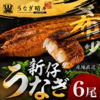 うなぎ晴々 希少な若うなぎ 白焼6尾