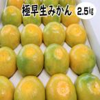 極早生みかん 約2.5kg