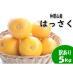 はっさく 八朔 約5kg
