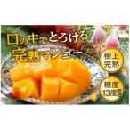 完熟マンゴー 2L×4パック