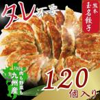 玉名餃子 120個