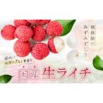 綾産 生ライチ大粒2Lサイズ