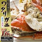 ワタリガニ オス メス各約400g×2尾 合計1.6kg