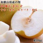 和の梨 約4kg