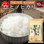 球磨産 ひのひかり 精米 10kg