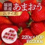 うるう農園のあまおう 2Lサイズ 約220g×10P