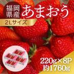 うるう農園のあまおう 2Lサイズ 約220g×8P