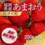 うるう農園のあまおう 2Lサイズ 約220g×6P