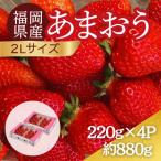 うるう農園のあまおう 2Lサイズ 約220g×4P