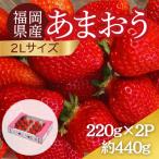 うるう農園のあまおう 2Lサイズ 約220g×2P