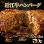 近江牛ぜいたくハンバーグ 150g×5個