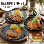 3種セット ハンバーグ 豚ロースとんてき熟成たれ