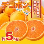 デコポン 約5kg