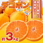 デコポン 約3kg