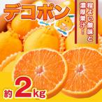 デコポン 約2kg