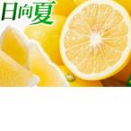 日向夏 種なし 2.5kg×2箱